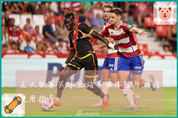 五大联赛买球主站界面体验与功能使用指导