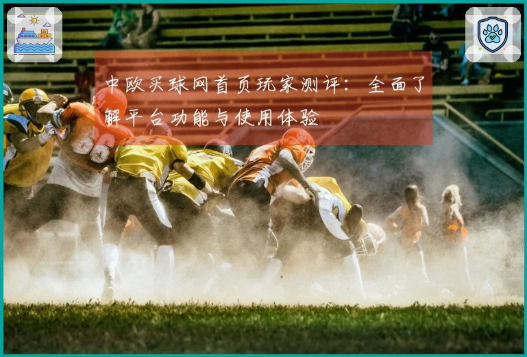 中欧买球网首页玩家测评：全面了解平台功能与使用体验