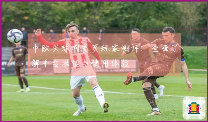 中欧买球网首页玩家测评：全面了解平台功能与使用体验