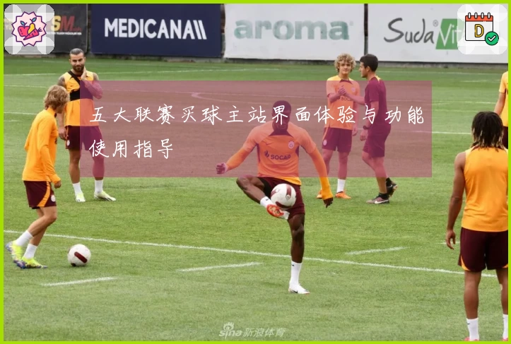 五大联赛买球主站界面体验与功能使用指导